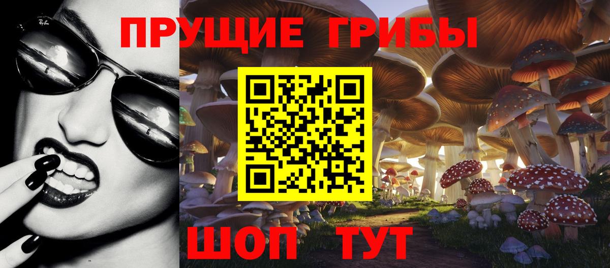 Жуковский  Псилоцибиновые грибы мухоморы  Вход с VPN 
